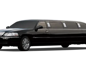 6-Seater Luxury Limousine