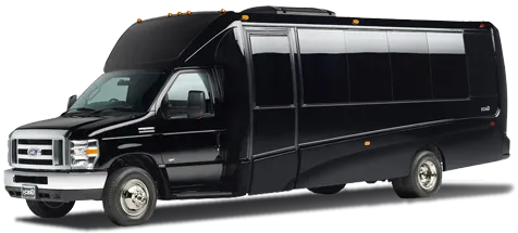 LUXURY MINIBUS
